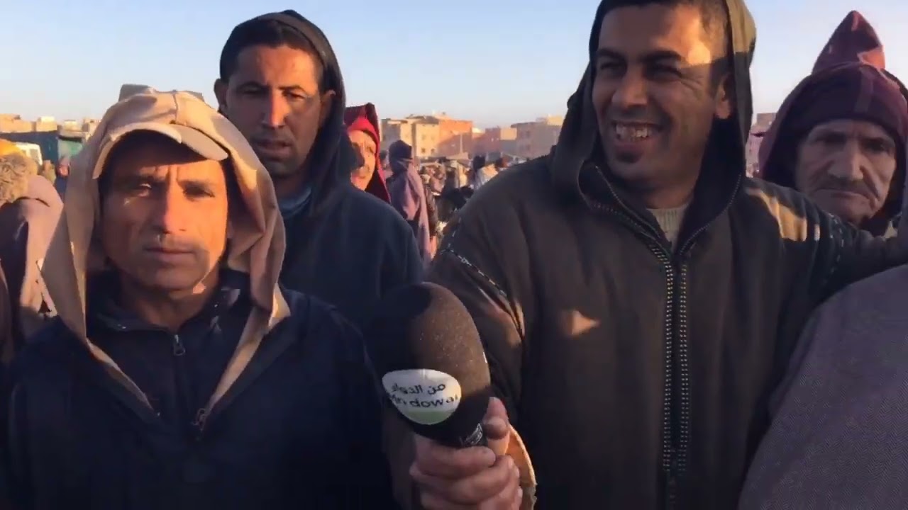مباشرة من سوق الاثنين قلعة السراغنة اثمنة الاغنام و الابقار بتاريخ 09/12/2024 #الغنم 🐑🐐