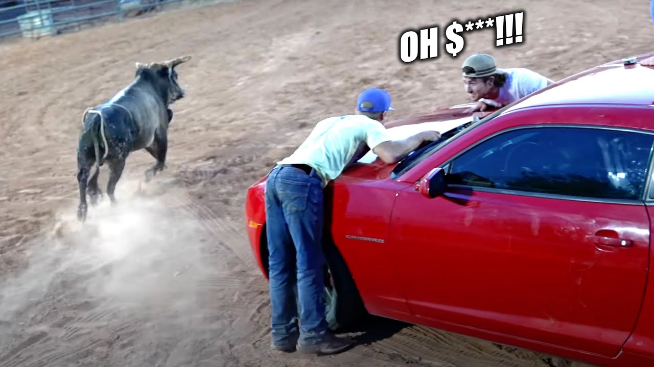 Last To Take Hand Off Camaro, Keeps It! (But There’s a Bull)