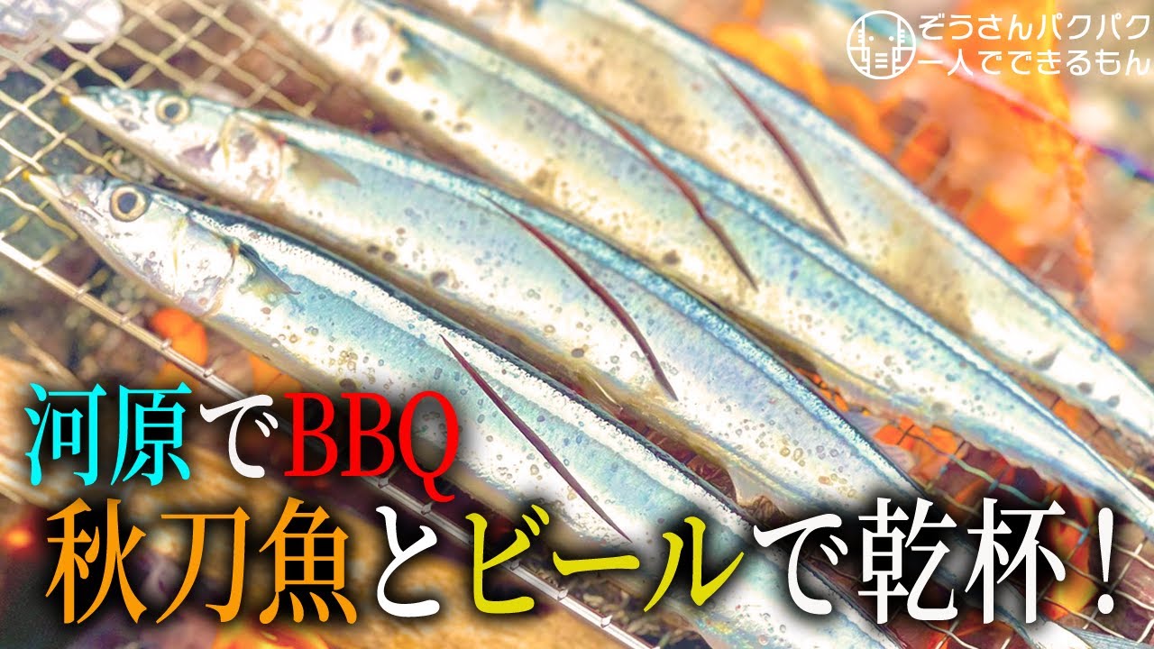 【BBQ】秋はビールと秋刀魚で乾杯！河原でBBQしてきた！【ぞうさんパクパク】【大食い】
