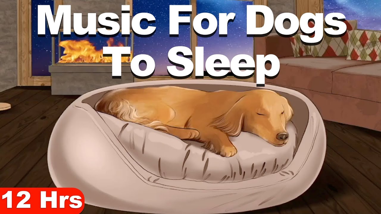 Calming Music For Dogs To Sleep (12Hrs)