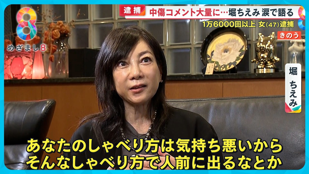 堀ちえみ涙の“告白”ブログに中傷コメント1万6000回以上送った女逮捕「恐怖であり、苦しかった」【めざまし８ニュース】