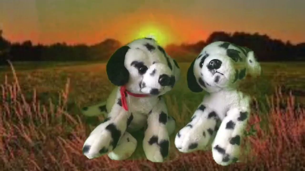 Cotty and Lotty fun’s the aim animation 
