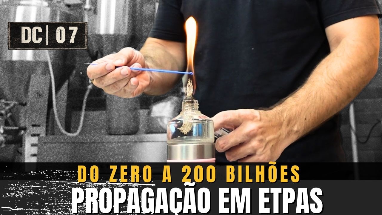 Como propagar levedura do zero sem estragar tud0