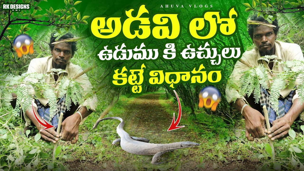 Adavi lo udumuki ucchulu kattadam||ఉడుముకి ఉచ్చులు కట్టే విధానం