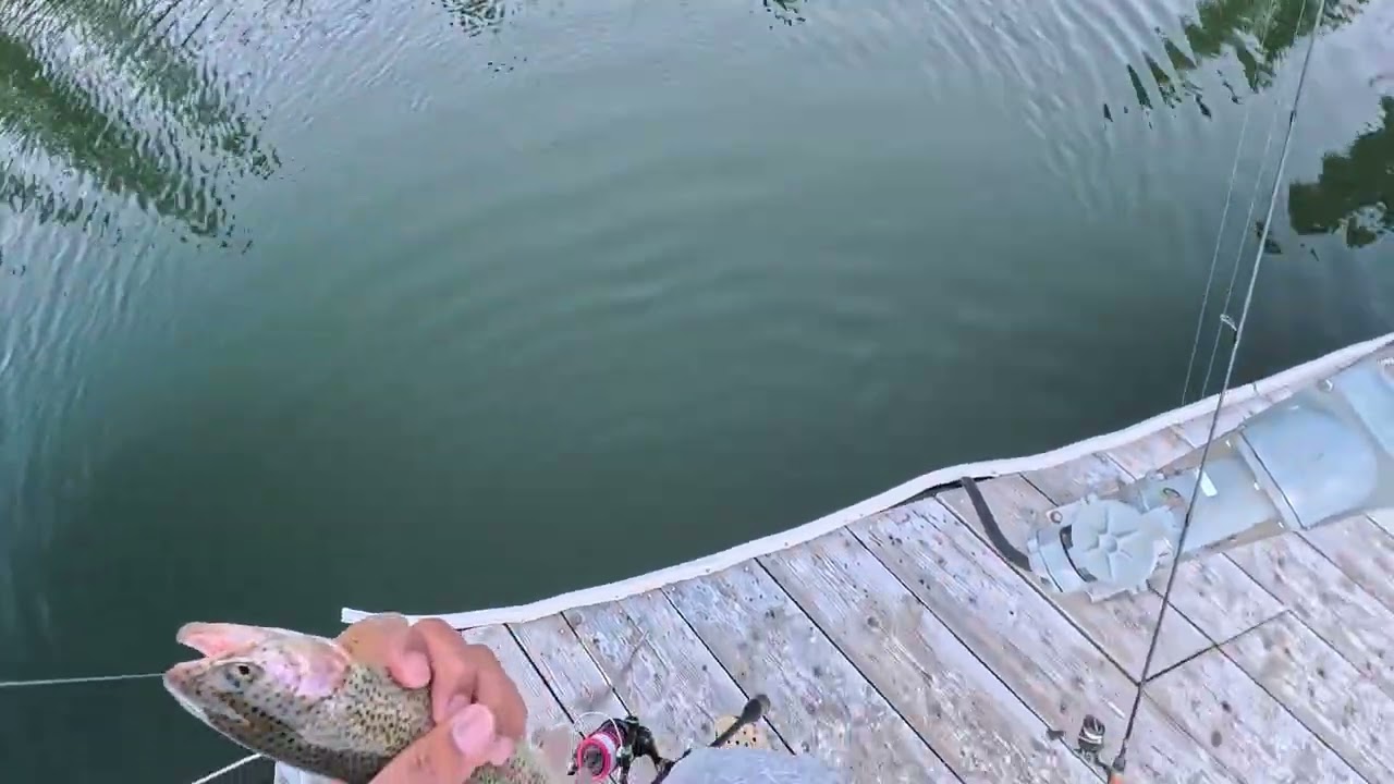 Cashing them stockies Trophies at Shaver lake 