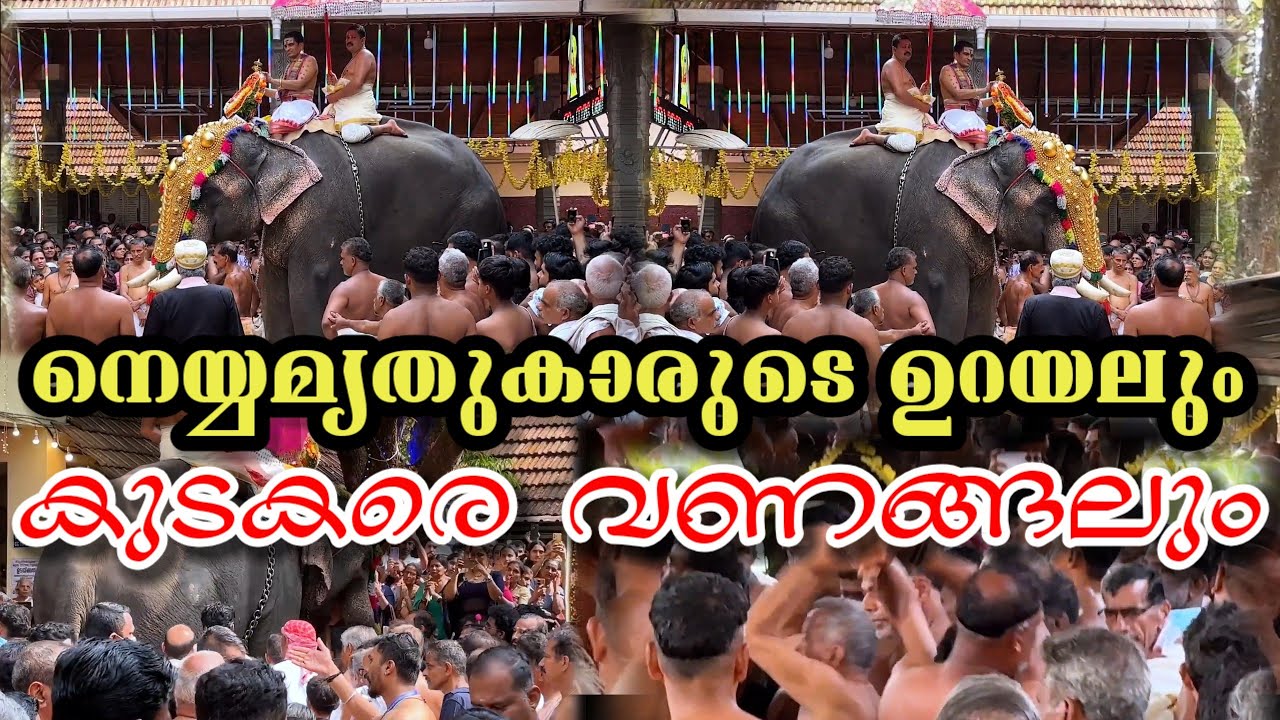 നെയ്യമൃതുകാരുടെ ഉറയലും കുടകരുടെ നൃത്തവും ആനപുറത്ത് എഴുന്നള്ളിപ്പും വണങ്ങലും | Payyavoor ootulsavam 