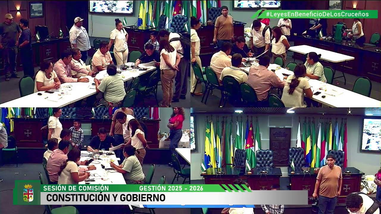 SESIÓN DE COMISIÓN Nr 07