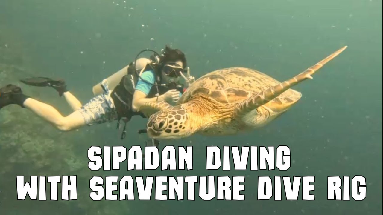 Sipadan Diving with Seaventure Dive Rig 