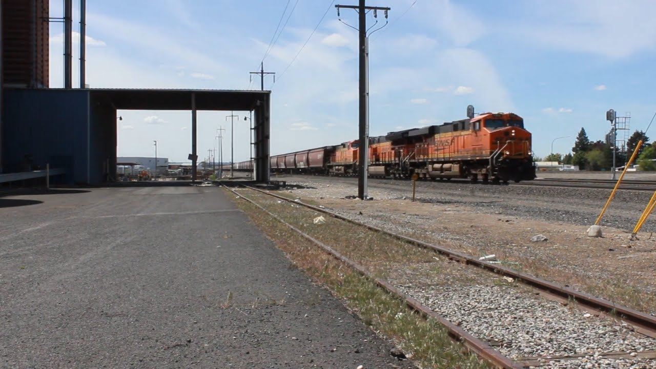 [HD] RARE 200+ Grain Consist! (5/24/21)