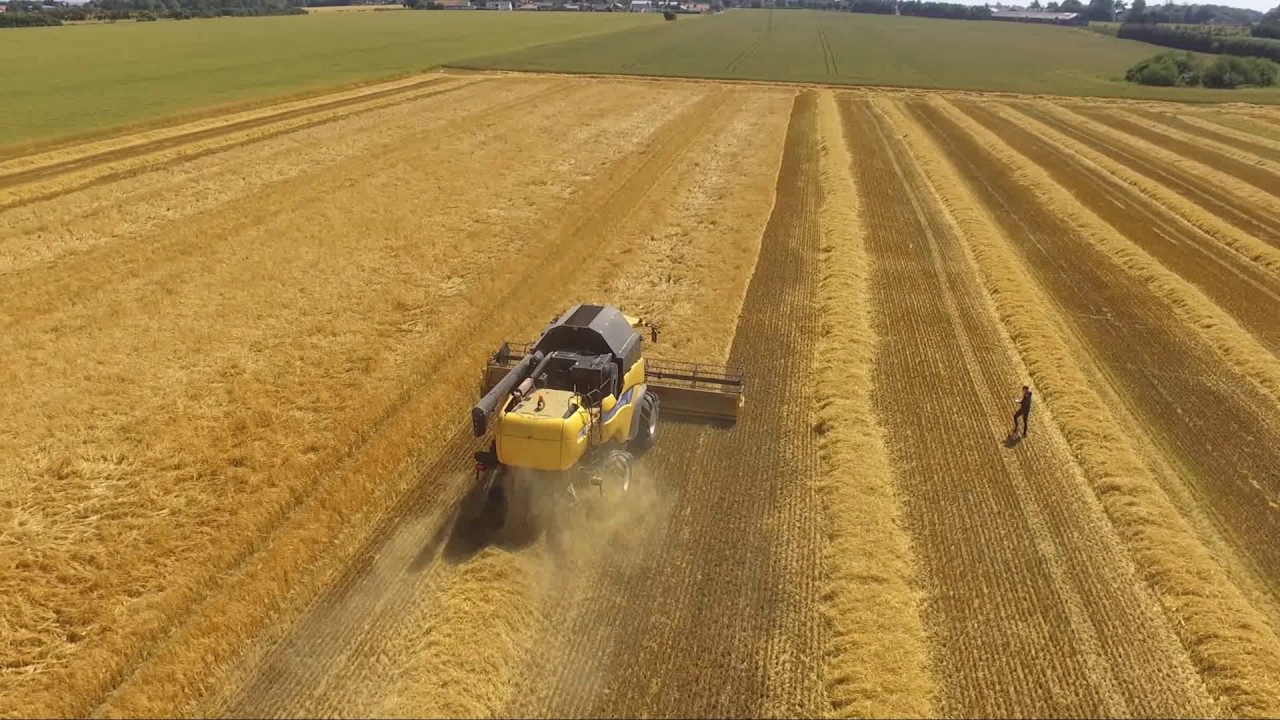 Barley Harvest | New Holland CX880 Combine Long