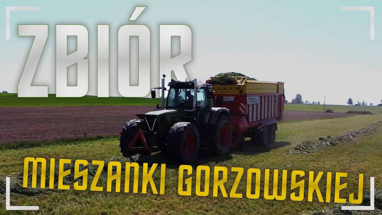 |☆Mieszanka gorzowska☆|☆Koszenie☆|☆Grabienie☆|☆Zbiór |☆2024☆|*Oporowo*|☆UR Gralux☆|