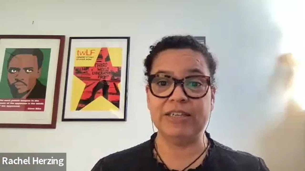 What makes and keeps communities safe? Abolition of the Prison Industrial Complex (w Rachel Herzing)