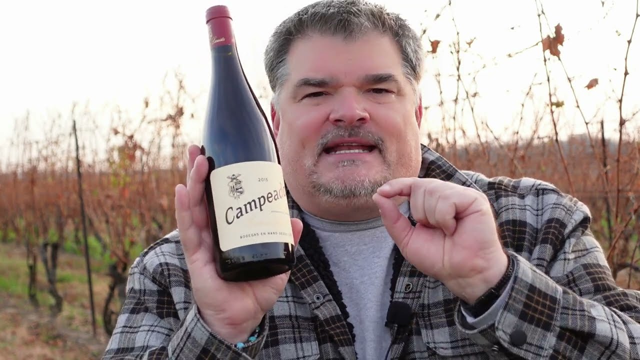 INCREDIBLE Bodegas Martinez Lacuesta 2015 Campeador (Spain)
