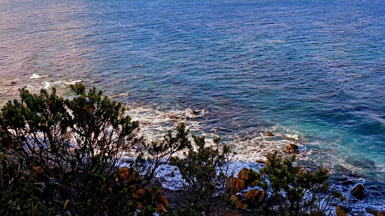 Relaxing Ocean Wave Sound, Deep Sleep white noise, Ocean Sound for study, sleep, calm, Flip Island
