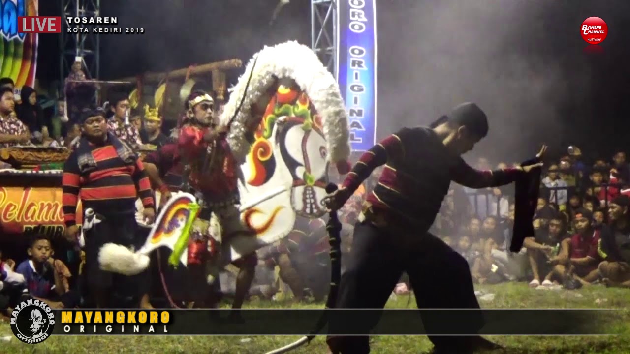 Perang Celeng 1000 Kreasi MAYANGKORO ORIGINAL Live TOSAREN 2019