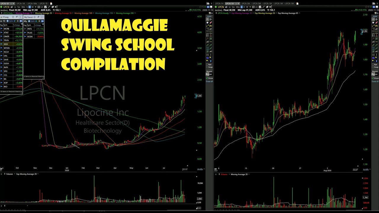 Qullamaggie Swing School Compilation