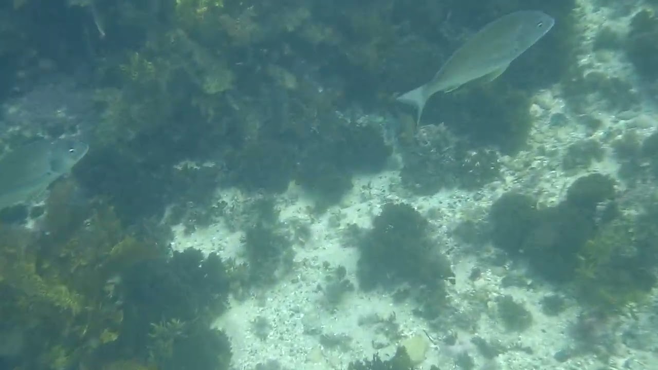 On a clear day...not so clear 24/2/26