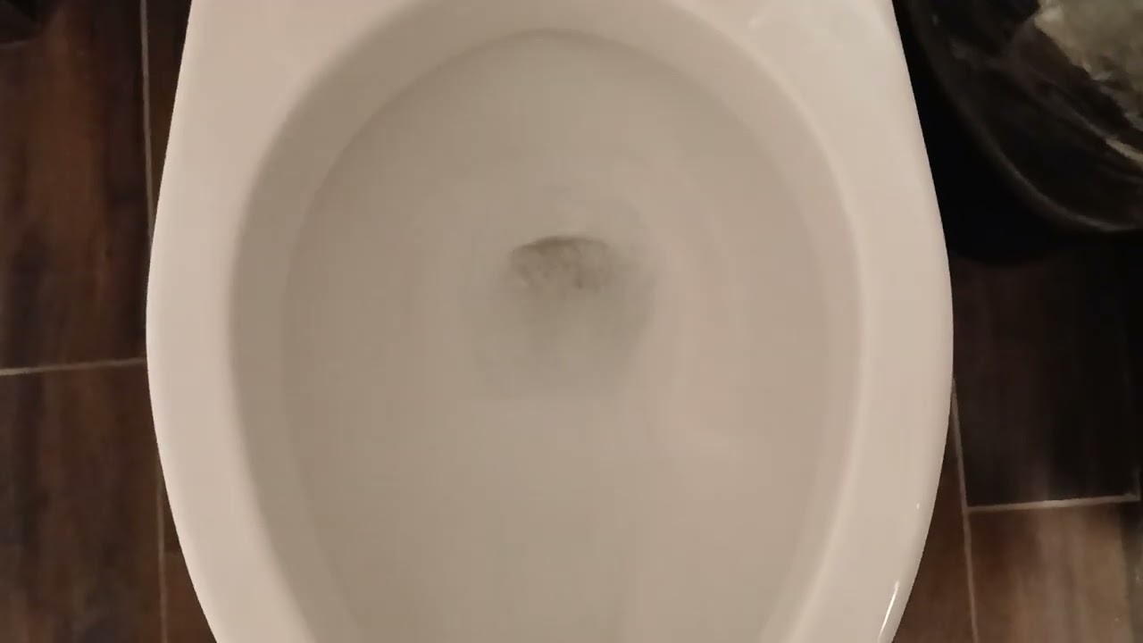 665. Toto Toilet At Best Western