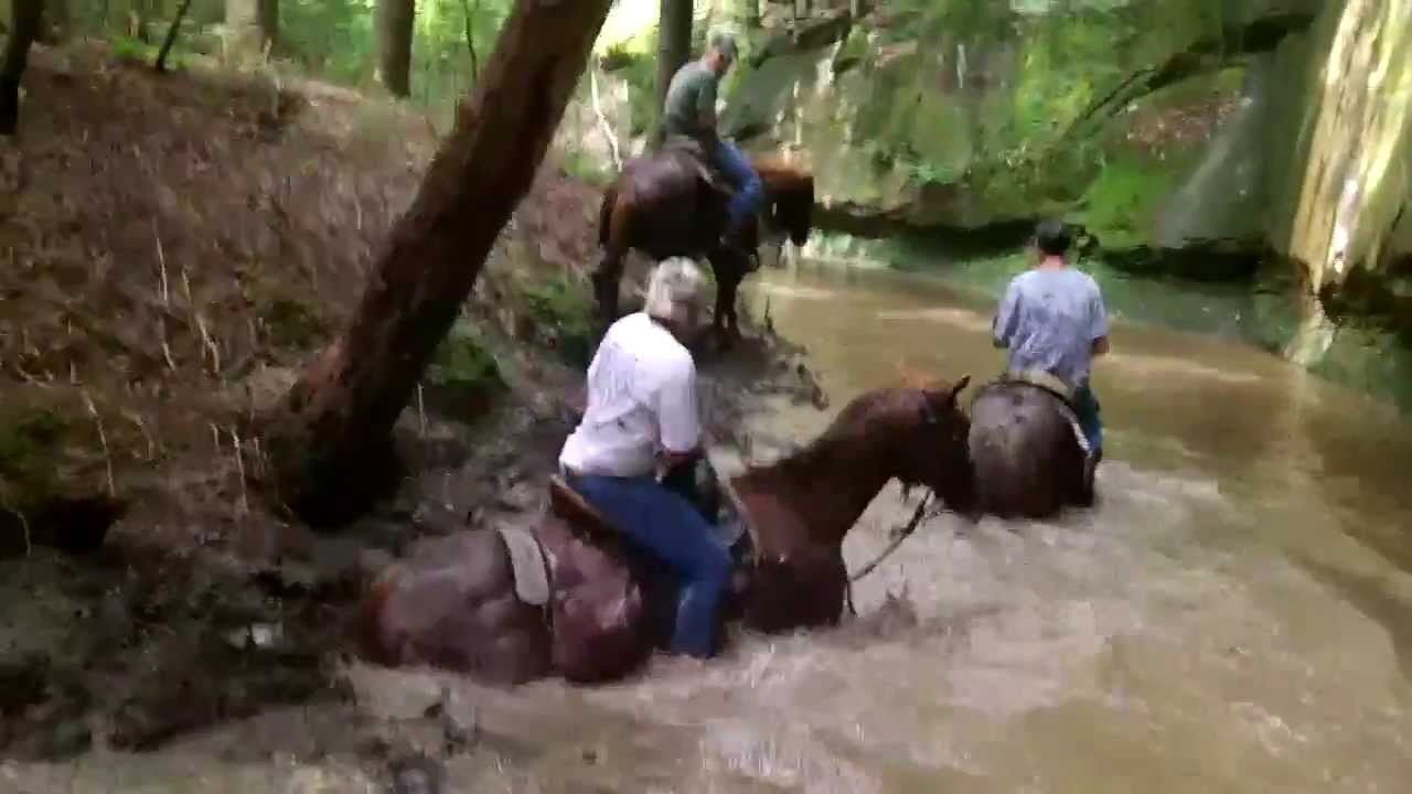 horse trail fun ride