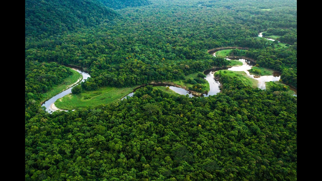 Pre-Columbian landuse and legacy effects in Amazonia - Mark Bush