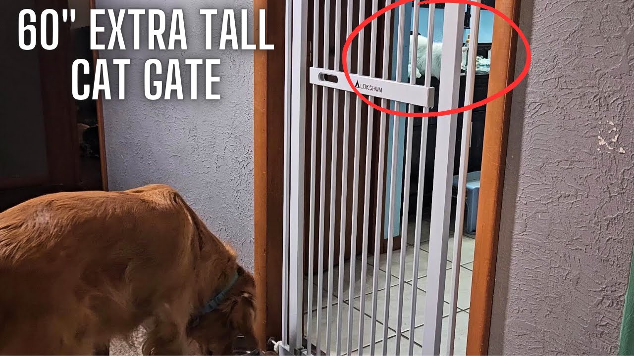 Pressure Mount Extra Tall Cat Gate | Auto Close Extra Tall Pet Gate
