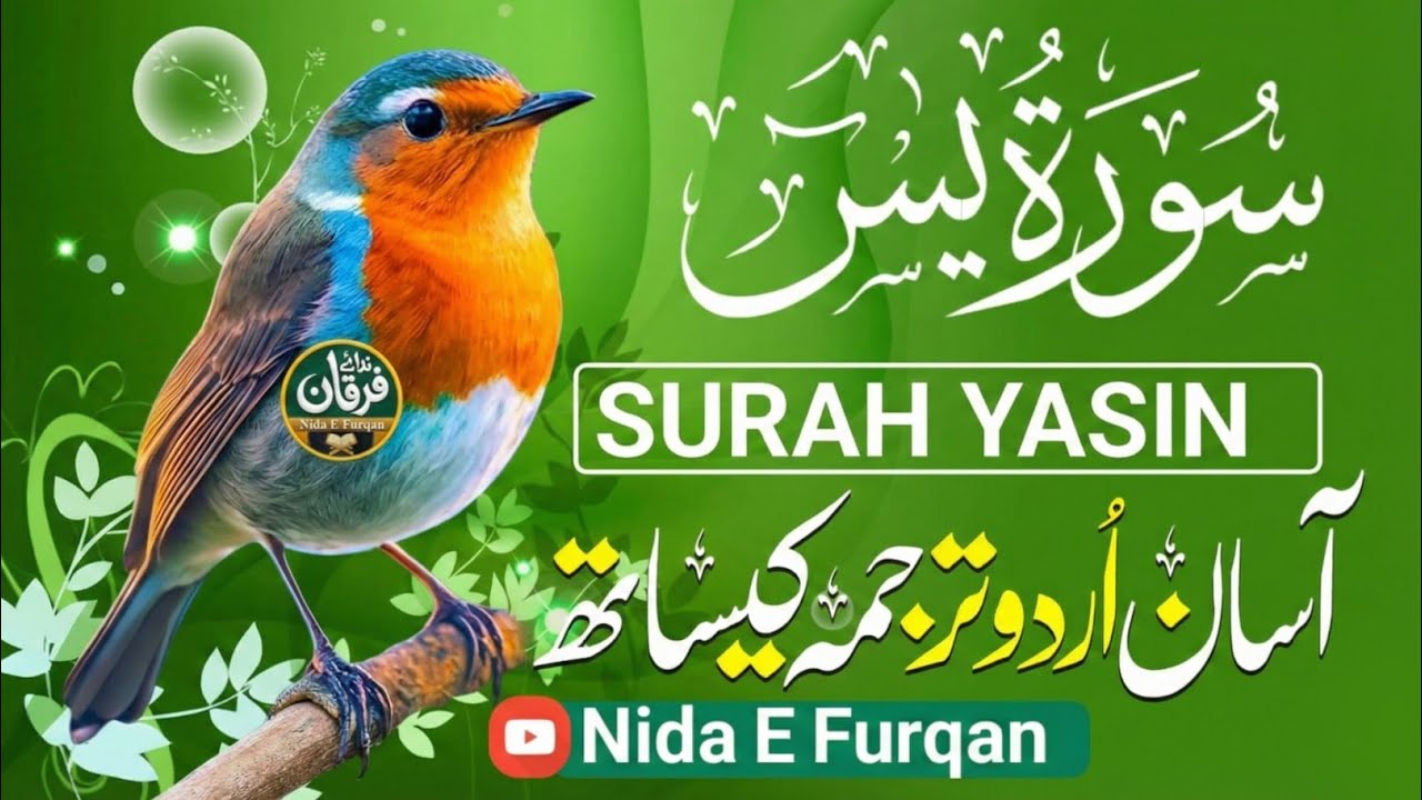 Surah Yasin Full with Urdu & Hindi Translation | Remove Worries & Anxiety | Qari Mansoor Ghaznavi 