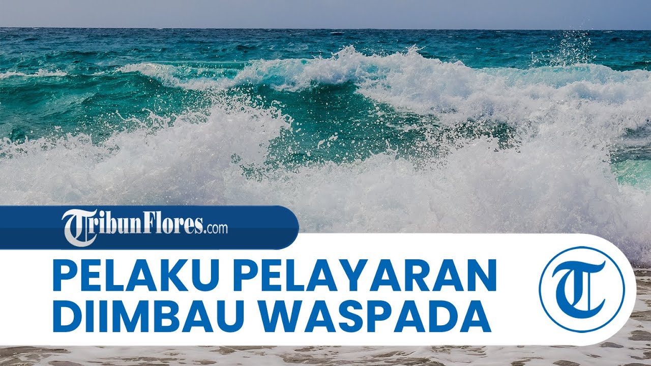 Cuaca Maritim 15 November 2024,BMKG:Waspada Gelombang Tinggi 4 Meter di Samudra Hindia Barat Lampung