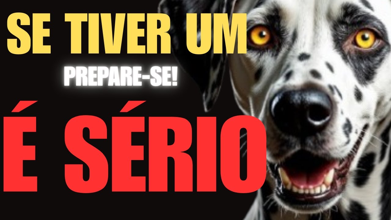 🚨 CUIDADO! Ter um Dálmata Pode Ser Um Erro Irreversível – Saiba Por Quê!