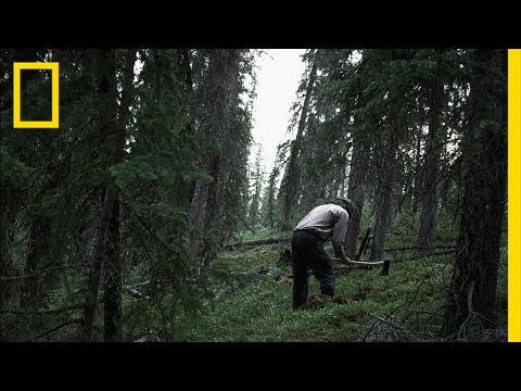 The Nature Purist | Life Below Zero