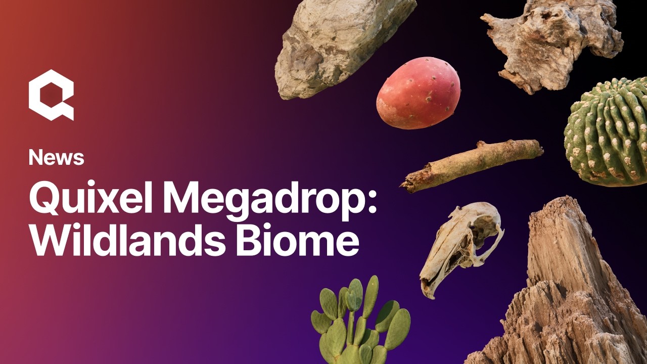 Quixel Megadrop: Wildlands Biome | Megascans Assets on Fab