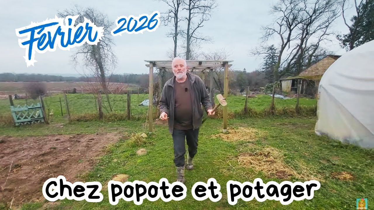 QUE PLANTER ET SEMER AU POTAGER EN FEVRIER 2026 ?