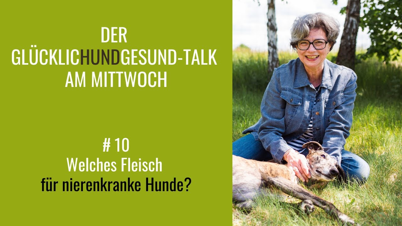 GlücklicHundGesund-Talk # 10 - Welches Fleisch für nierenkranke Hunde?