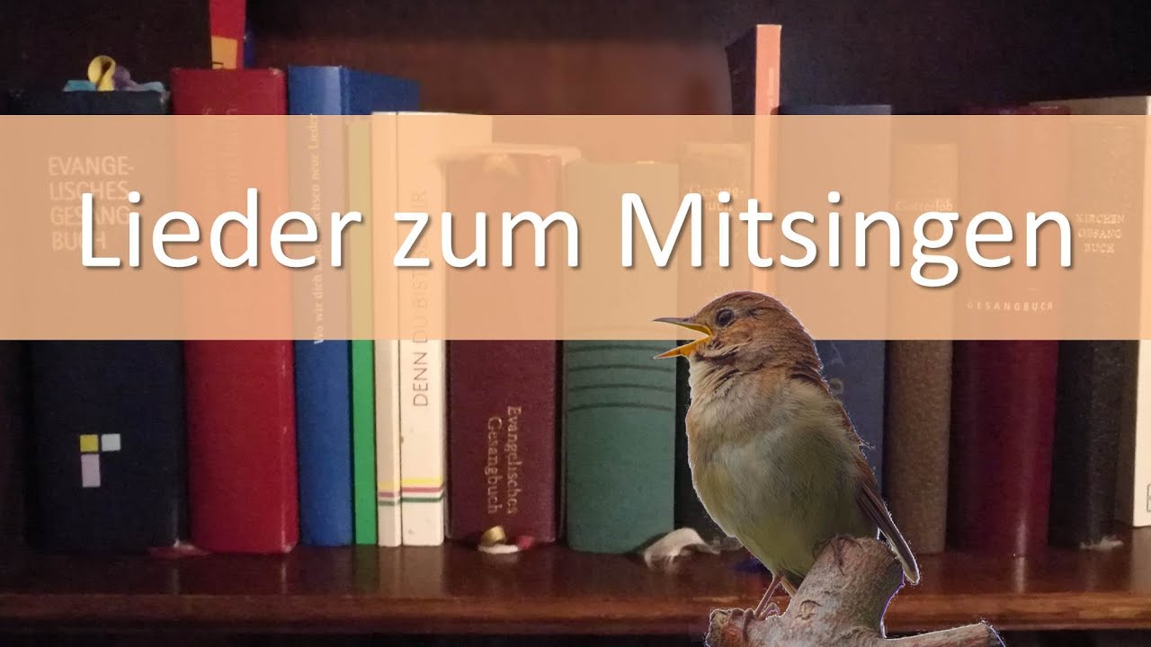 Lieder zum Mitsingen 1