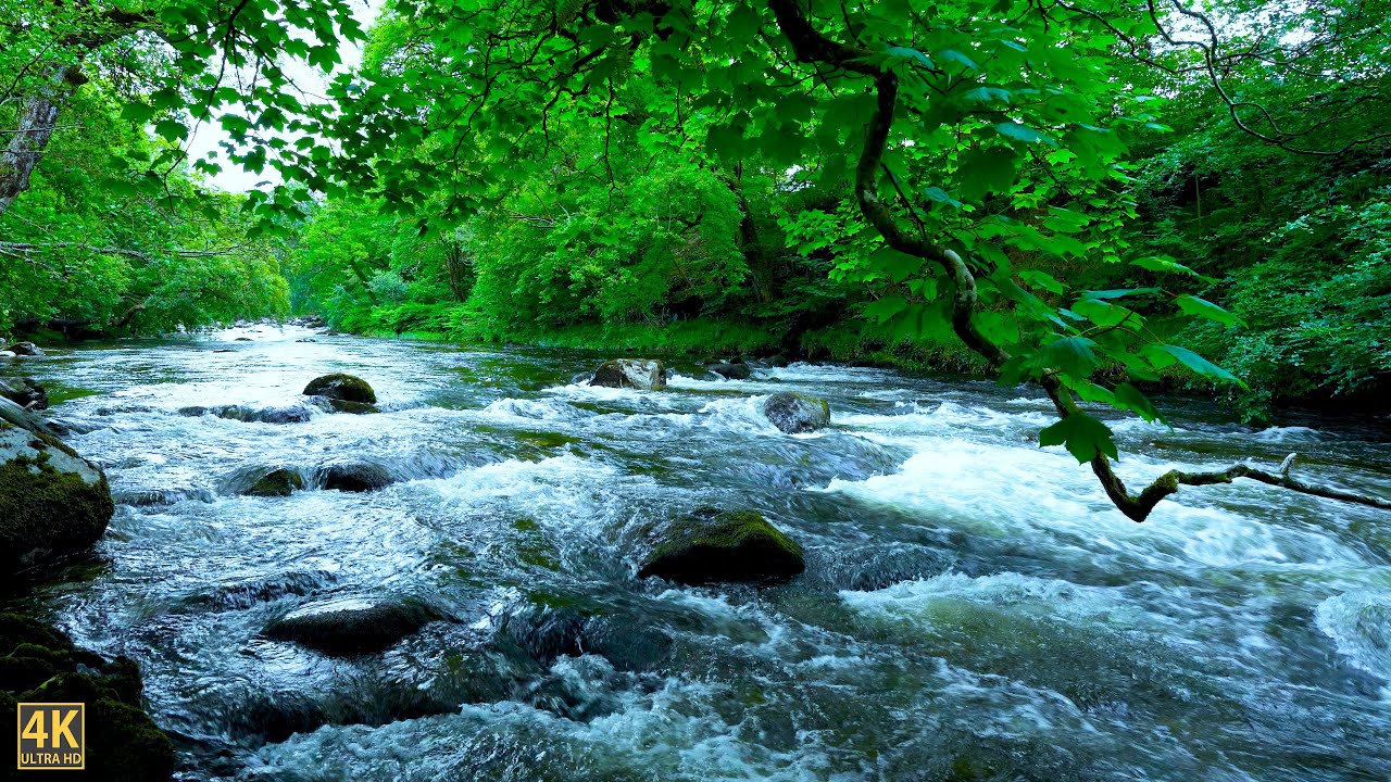 Beautiful Mountain River Flowing Sound | Calming Water Ambience for Sleep, Relaxation & Meditation.