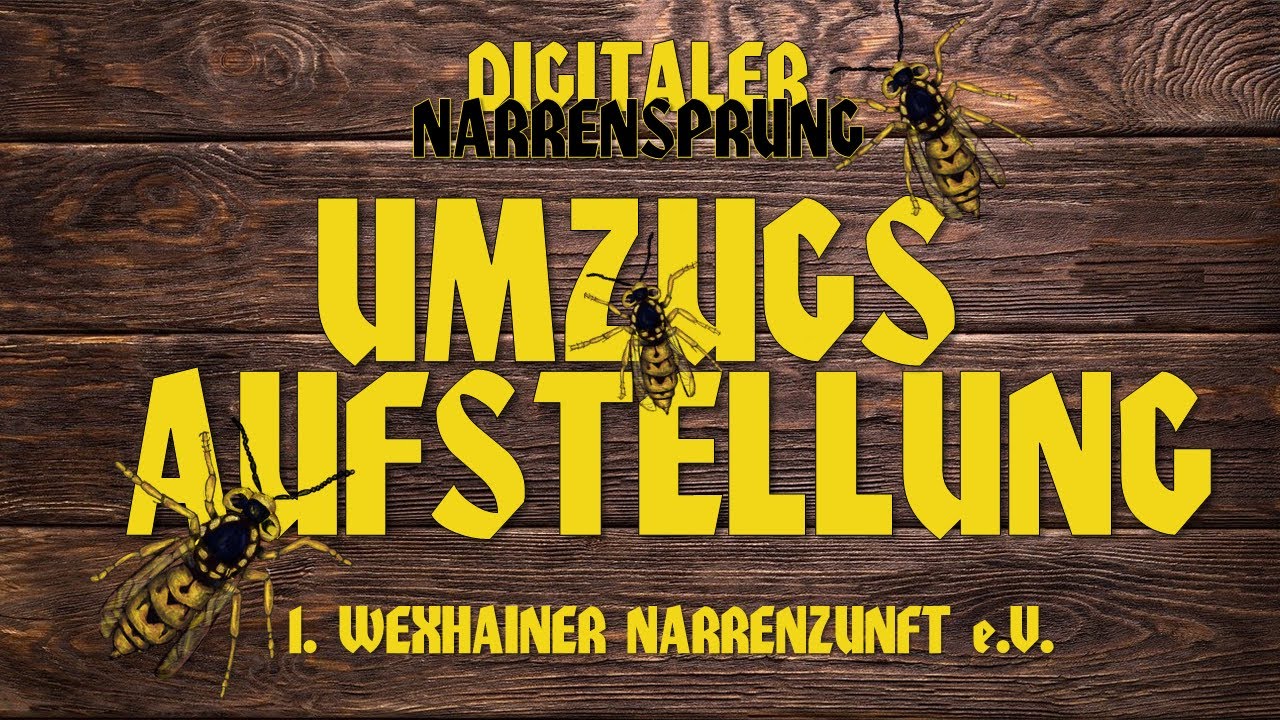 AUFSTELLUNG Digitaler Narrenumzug // Digitaler Narrensprung, 09.01.2021, TEIL 6