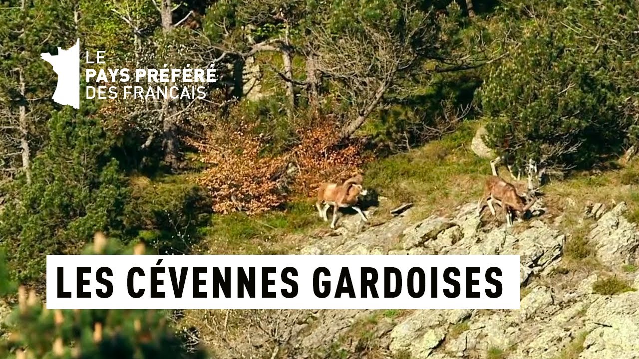 Les Cévennes Gardoises - Cévennes - Les 100 lieux qu'il faut voir - Documentaire