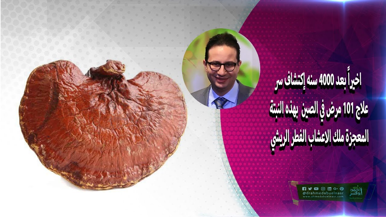 اخيراً بعد 4000 سنه إكتشاف سر علاج 101 مرض في الصين  بهذه النبتة المعجزة ملك الاعشاب الفطر الريشي