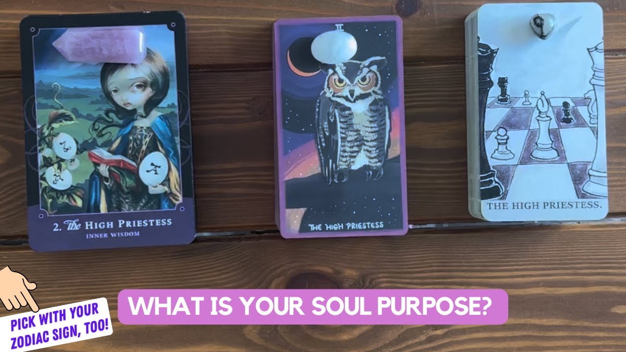 What Is Your Soul Purpose? | Timeless Reading