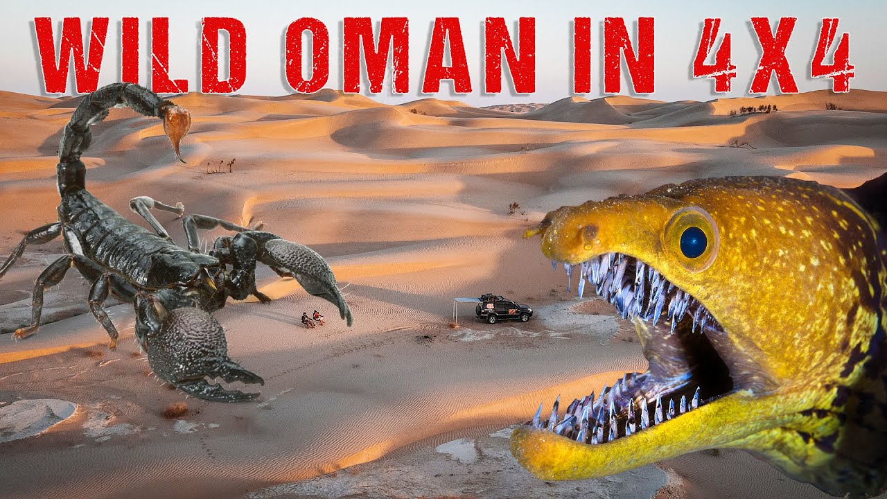 Surrounded by SCORPIONS, MORAY EELS & SNAKES - Top 10 Wild camping spots in Oman (Pt.2)