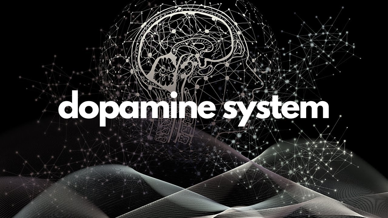 Dopamine System Repair &ndash; Enjoy Life Again