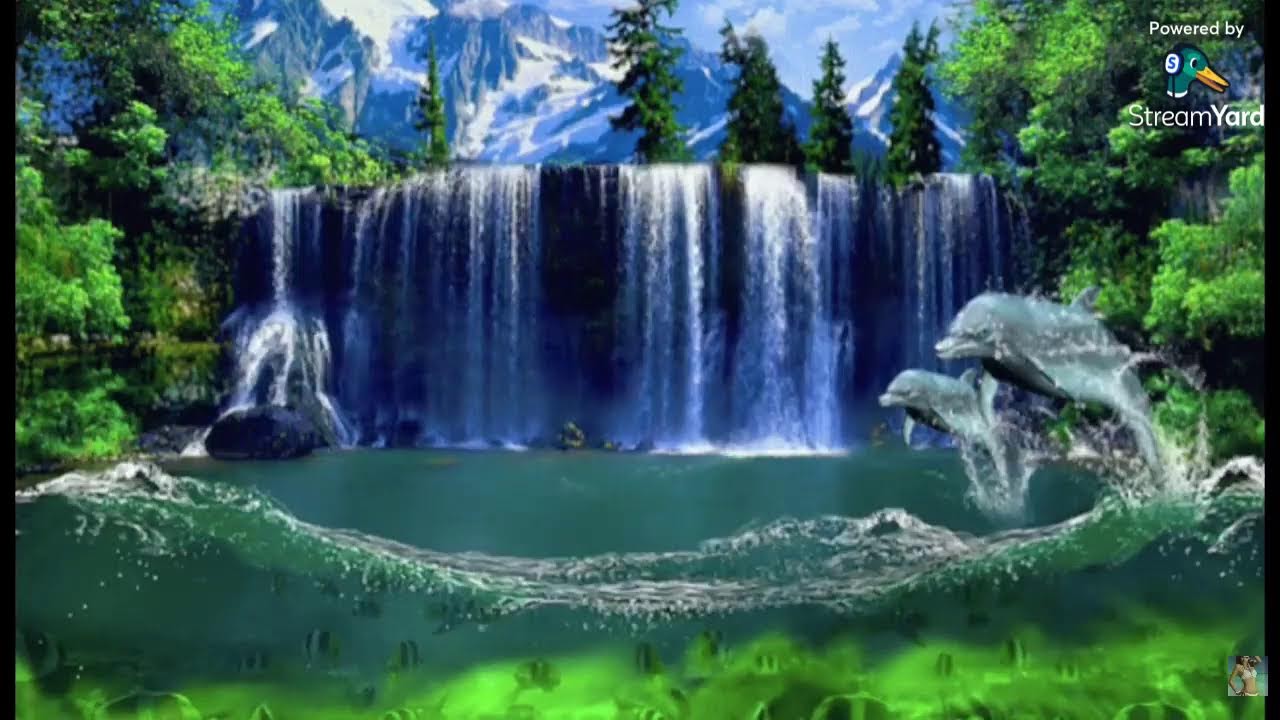 Have a relaxing wednesday night LS! Hello friends kindly stop by here to say a good night, Thanks!