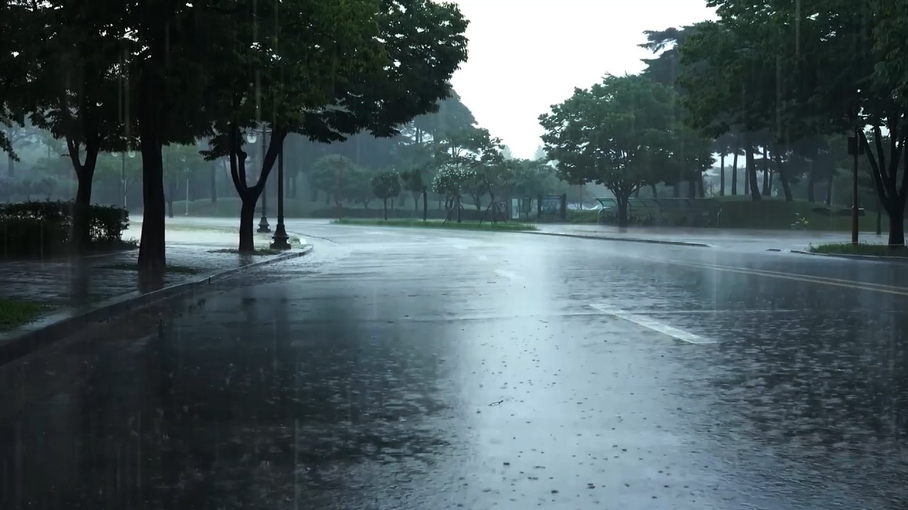 Duerma Instantáneamente En 3 Minutos Con Lluvia Intensa ⛈️ Sonido De Lluvia Para Dormir