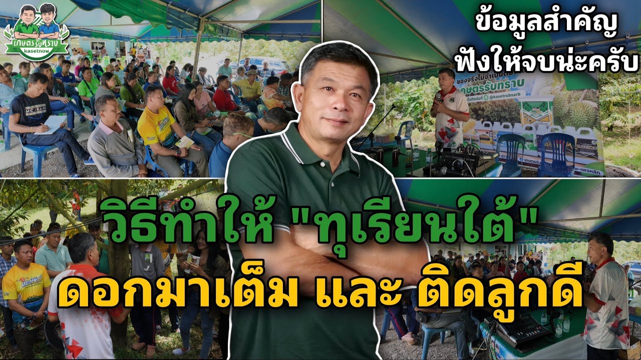 วิธีการจัดการกับทุเรียนภาคใต้ให้ “ติดดอกดี ติดลูกเยี่ยม” | สู้กับสภาพอากาศที่แปรปรวนได้อยู่หมัด