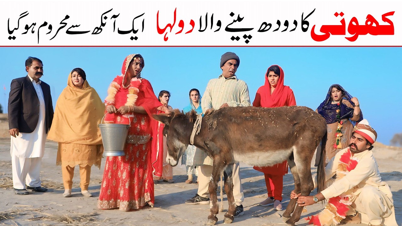 Wedding Songs | Ramzi,Noori, Bilo,Shoki, Sanam, Falak Sher,Funny Video  Rachnavi Tv