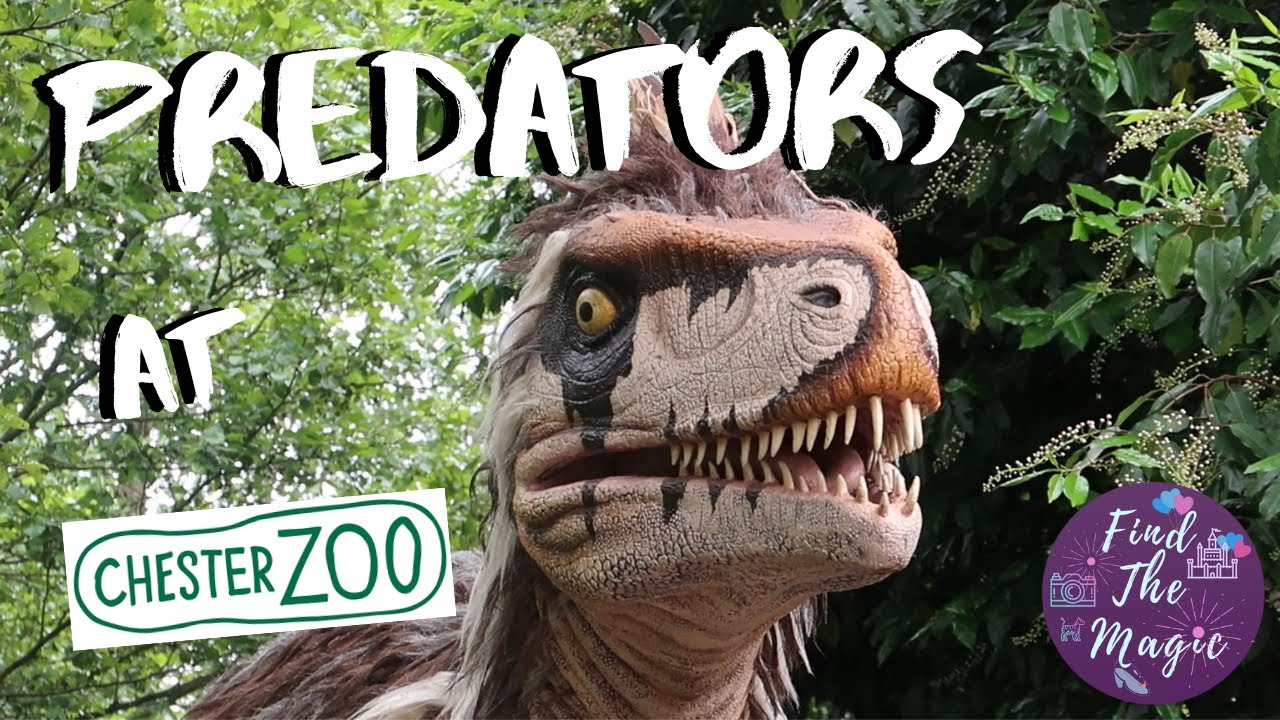 Predators at Chester Zoo |  Dinosaur Animatronics | Prehistoric Creatures Dino Trail