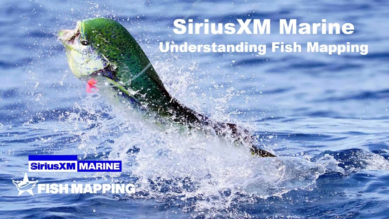 Webinar | Understanding Fish Mapping | April 2024