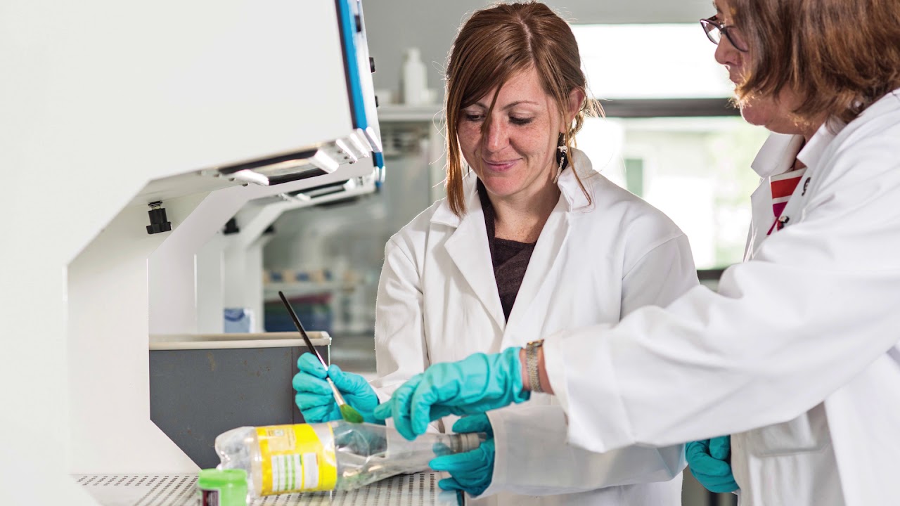 BSc Hons Forensic Science