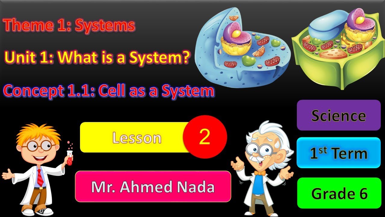 Cell as a System | Lesson 2 | Unit 1 | Theme 1 | Science | G6 | T1