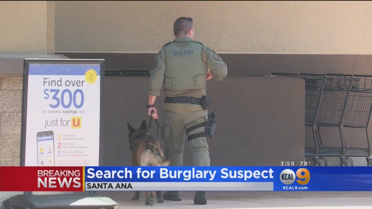 OC Police On Hunt For Burglary Suspect Who Disappeared In Grocery Store After Pursuit