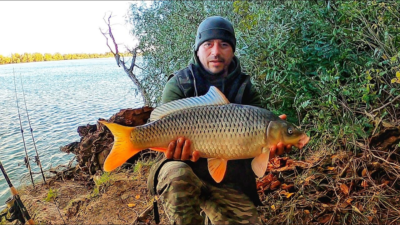 Под дождём и ветром 🌧️ 5 ночей на Чилии 🐟 ЧАСТЬ ВТОРАЯ 🎣